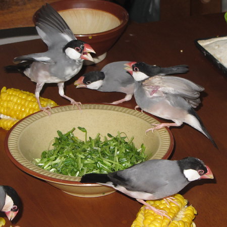 Untitled1.jpg