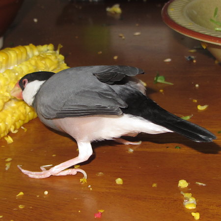 Untitled1.jpg