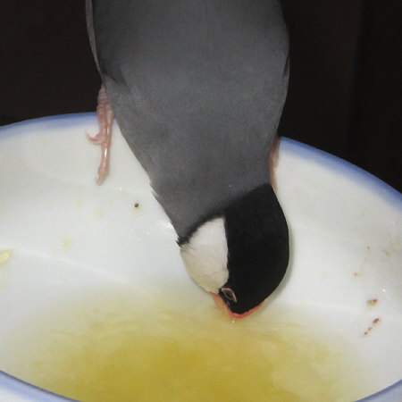 Untitled1.jpg