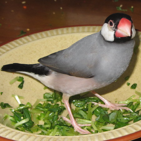 Untitled1.jpg