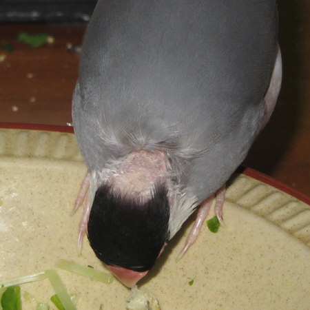 Untitled1.jpg