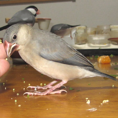 Untitled1.jpg