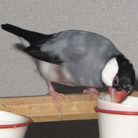 Untitled1.jpg