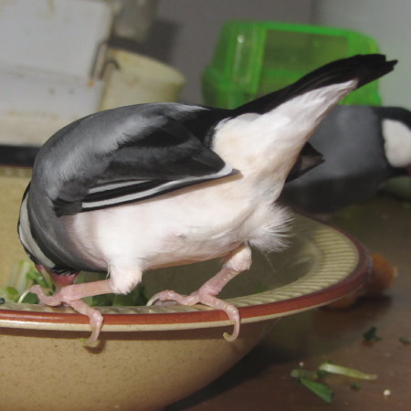 Untitled1.jpg