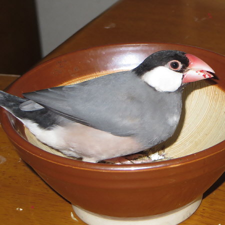 Untitled1.jpg