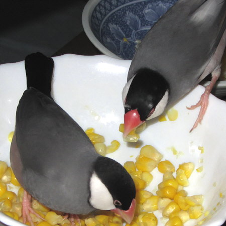 Untitled2.jpg
