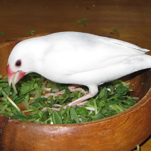 Untitled1.jpg