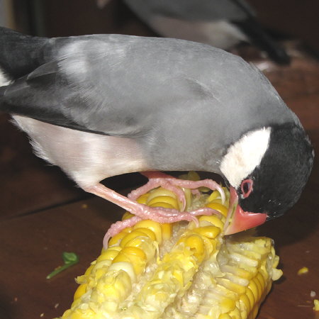 Untitled1.jpg
