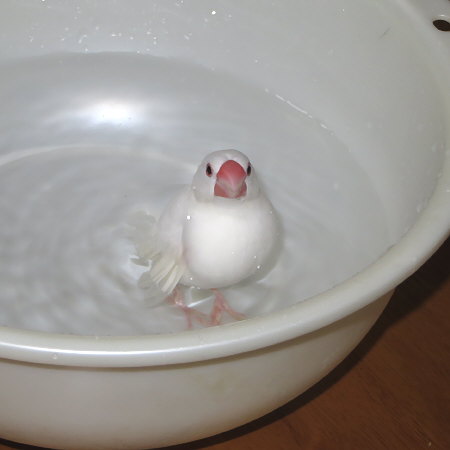 Untitled1.jpg