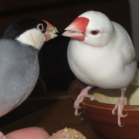 Untitled1.jpg