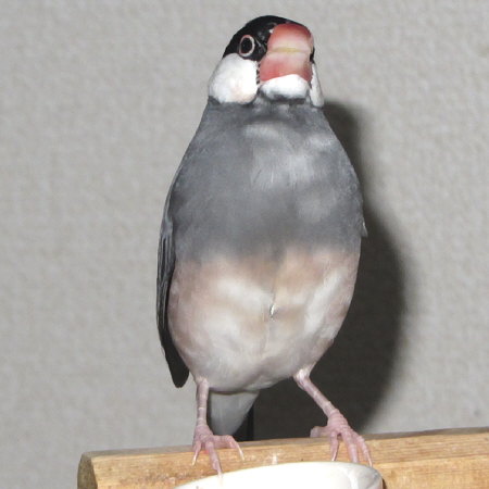 Untitled1.jpg