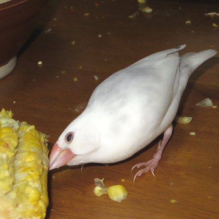 Untitled3.jpg