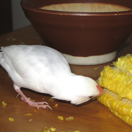 Untitled1.jpg