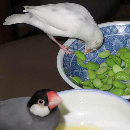 Untitled1.jpg