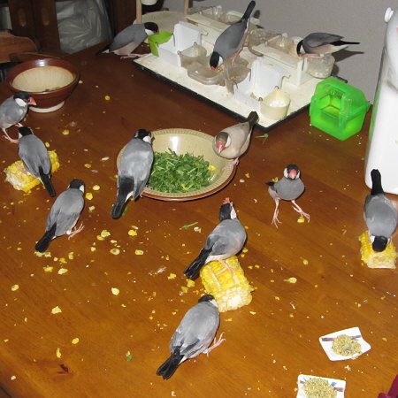 Untitled1.jpg