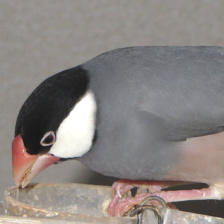 Untitled3.jpg