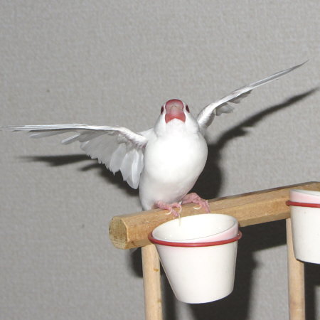 Untitled2.jpg