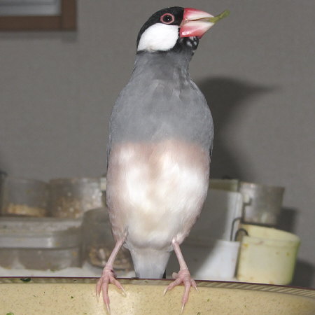 Untitled1.jpg