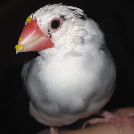 201106.jpg
