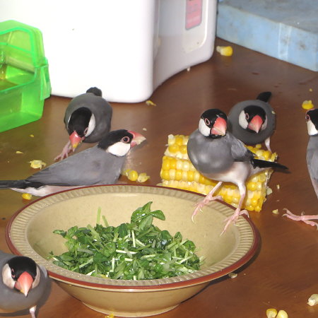 Untitled1.jpg