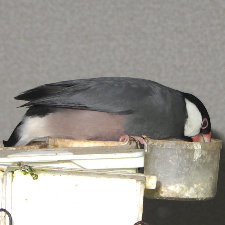 Untitled1.jpg