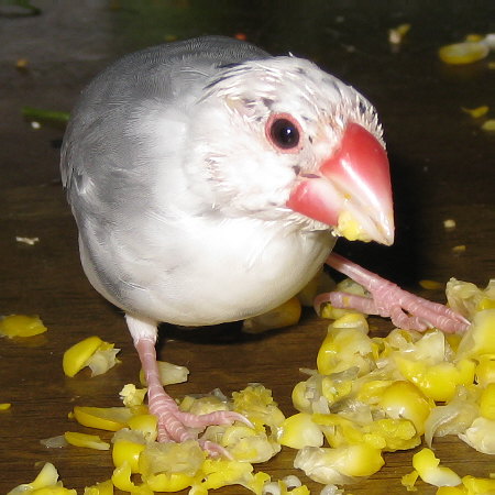201006.jpg