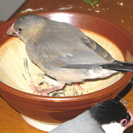 Untitled1.jpg