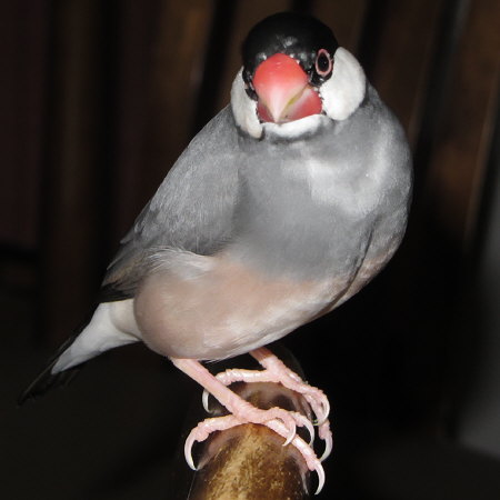 Untitled1.jpg