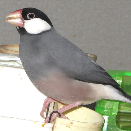 Untitled1.jpg