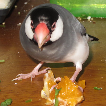 Untitled1.jpg
