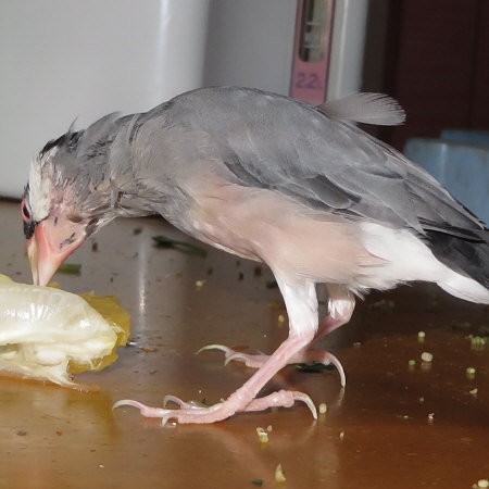 Untitled2.jpg