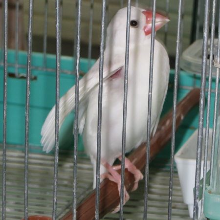 Untitled2.jpg