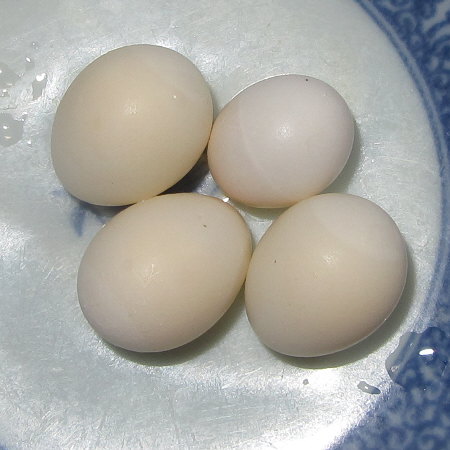 Untitled5.jpg