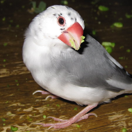 201107.jpg