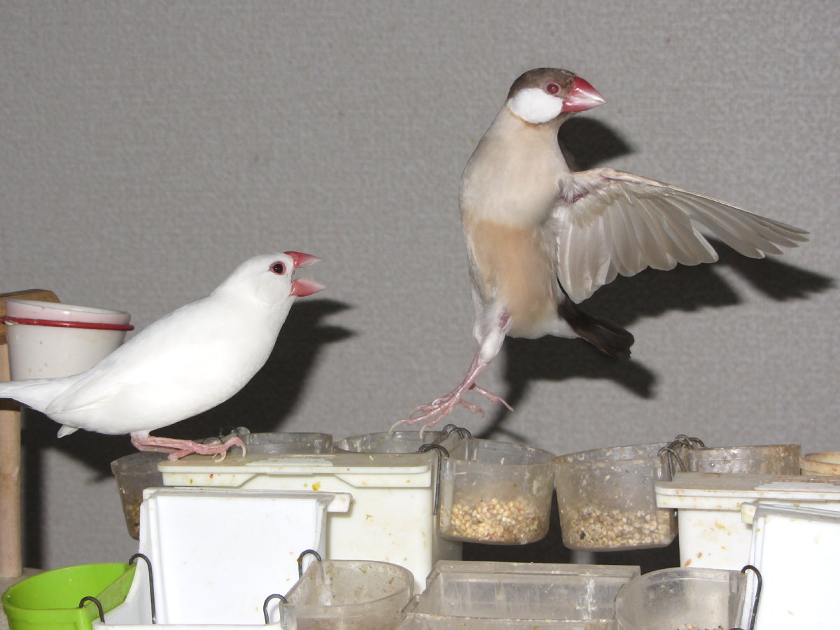 20140701_010.JPG