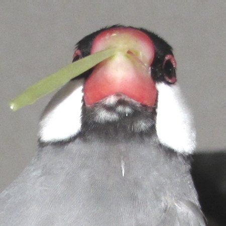 Untitled1.jpg