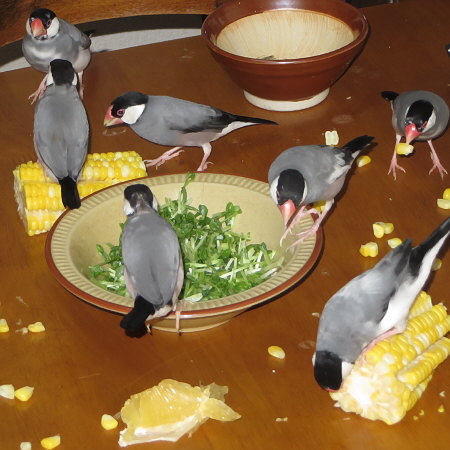Untitled1.jpg