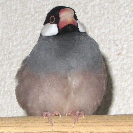 Untitled2.jpg