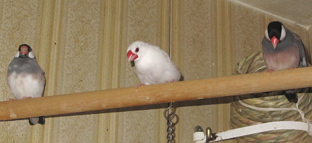 Untitled2.jpg
