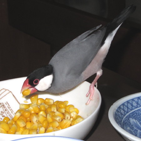 Untitled1.jpg