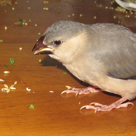 Untitled1.jpg