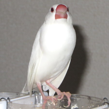 Untitled1.jpg