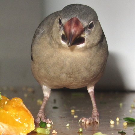 Untitled1.jpg