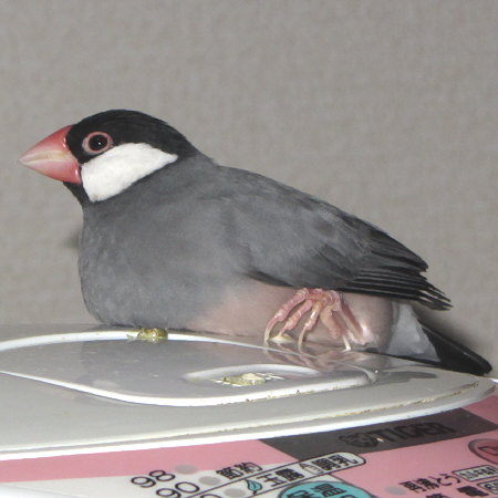 Untitled1.jpg