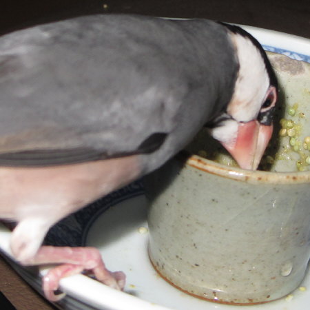 Untitled1.jpg