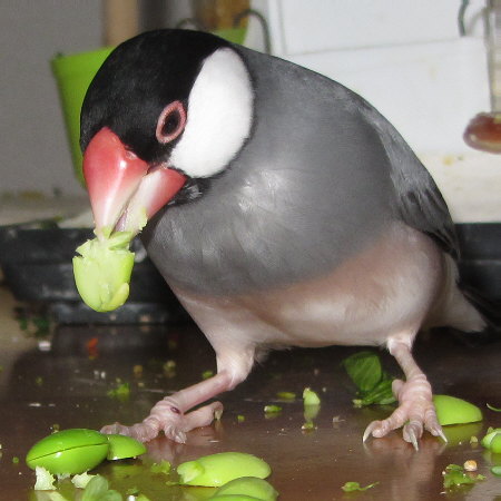Untitled2.jpg
