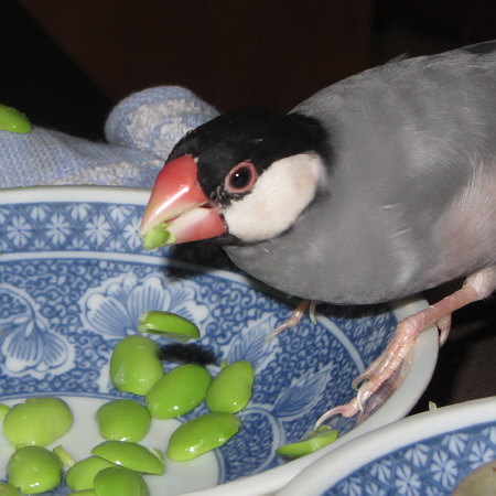 Untitled1.jpg
