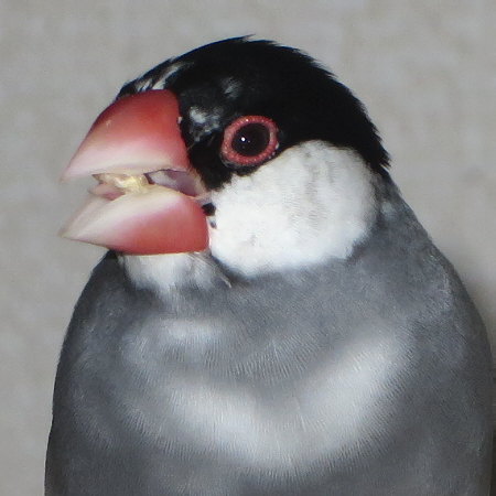 Untitled1.jpg