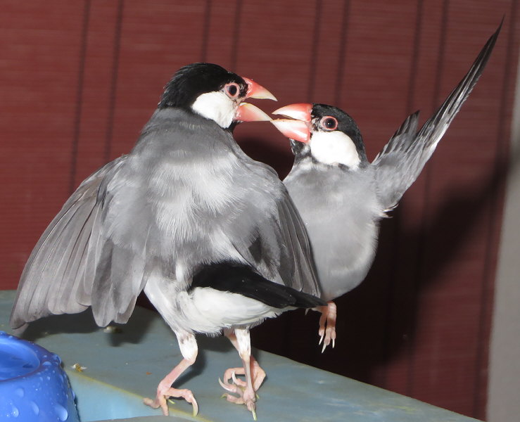Untitled1.jpg
