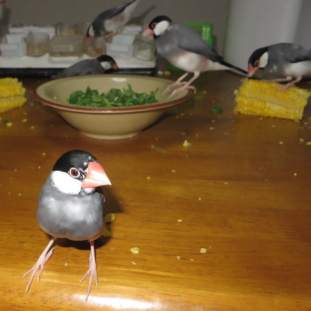 Untitled1.jpg